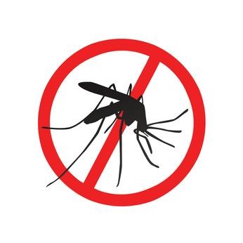 How to prepare your home for mosquito season