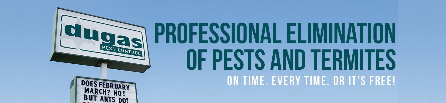 Pest control Baton Rouge, New Orleans, St. Tammany & Lafayette