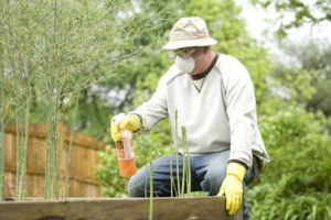 Surprising Facts About DIY Pest Control