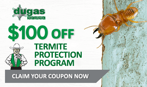Termite initial service coupon offer
