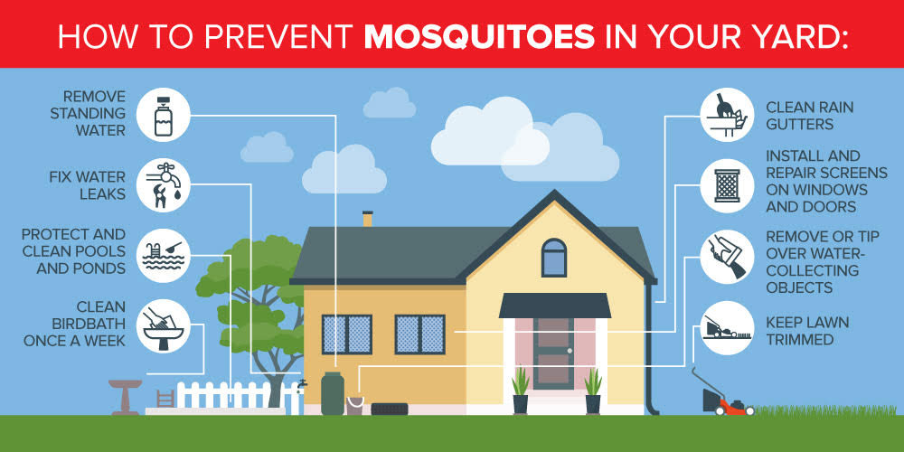Mosquito breeding ground prevention in Baton Rouge LA - Dugas Pest Control