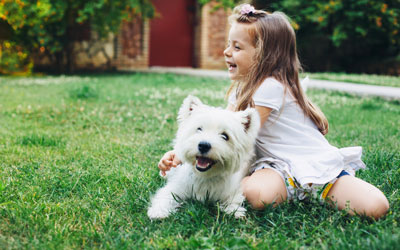 Tips to protect pets form ticks in the summer in Baton Rouge LA - Dugas Pest Control