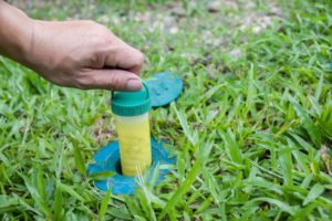 When Is Termite Treatment Necessary in Baton Rouge LA - Dugas Pest Control
