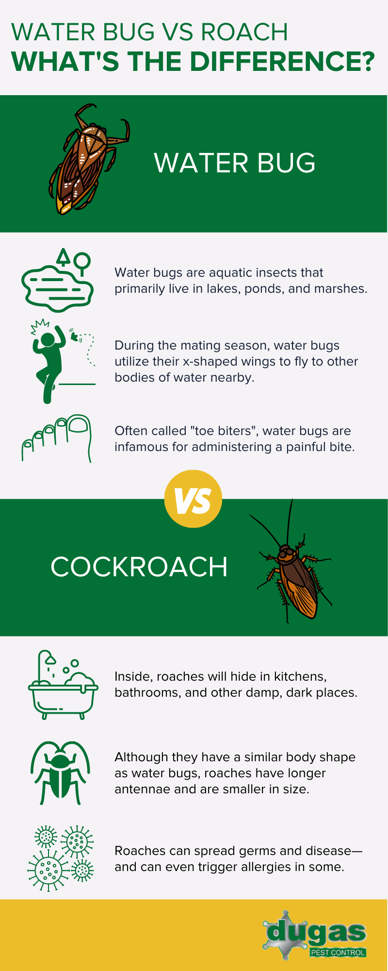 Water bug vs roach infographic in Baton Rouge LA - Dugas Pest Control