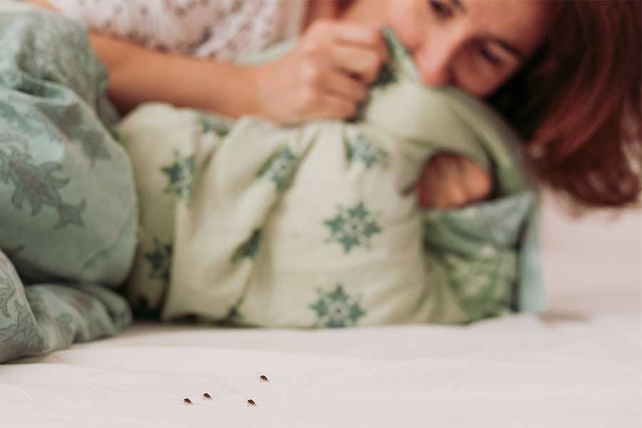 Do bed bugs bite in Baton Rouge LA - Dugas Pest Control