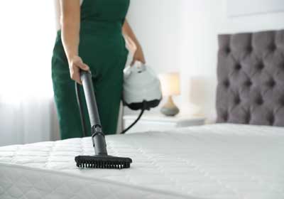 Do it yourself bed bug treatment in Baton Rouge LA - Dugas Pest Control