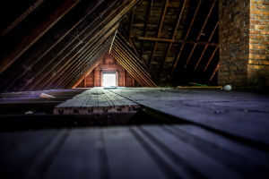 Attic where roof rats can live in Baton Rouge LA homes - Dugas Pest Control